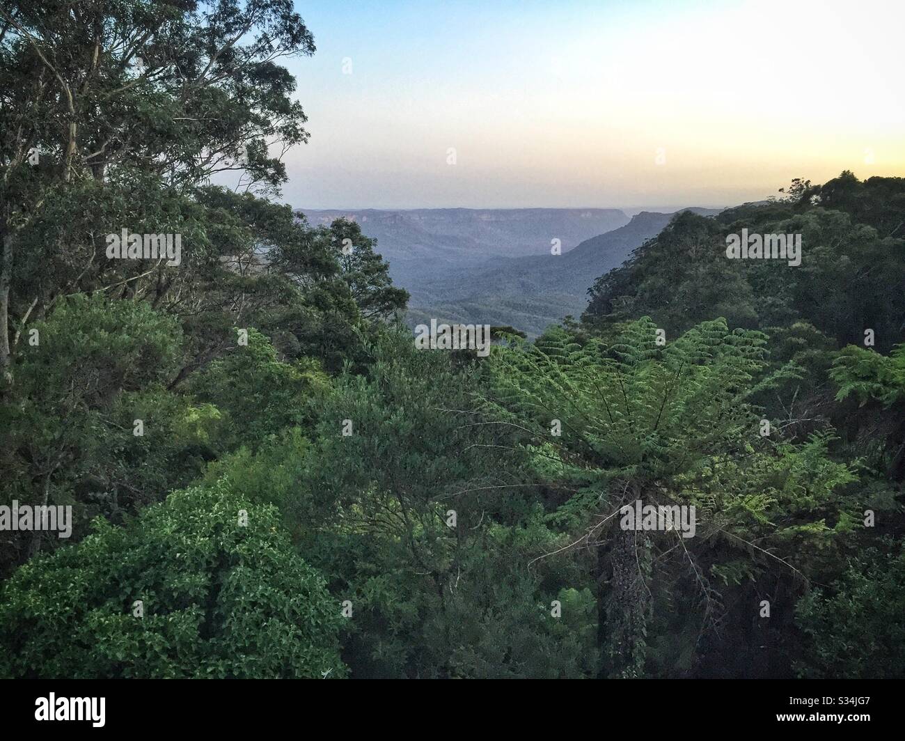 Bagliore serale sopra la Jamison Valley, il Blue Mountains National Park, NSW, Australia Foto Stock