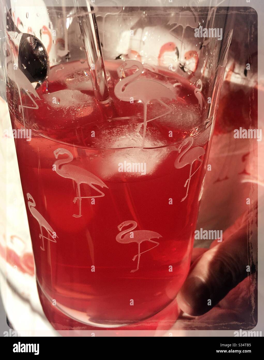 E la foto fenicottero orlata è piena di cocktail Cosmo rosa freddo, USA Foto Stock