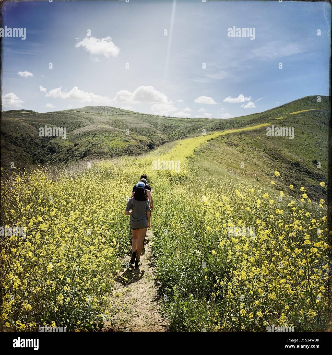 Tre membri della famiglia camminano lungo uno dei numerosi sentieri che costellano le colline di San Juan Capistrano nella contea arancione, California. Foto Stock