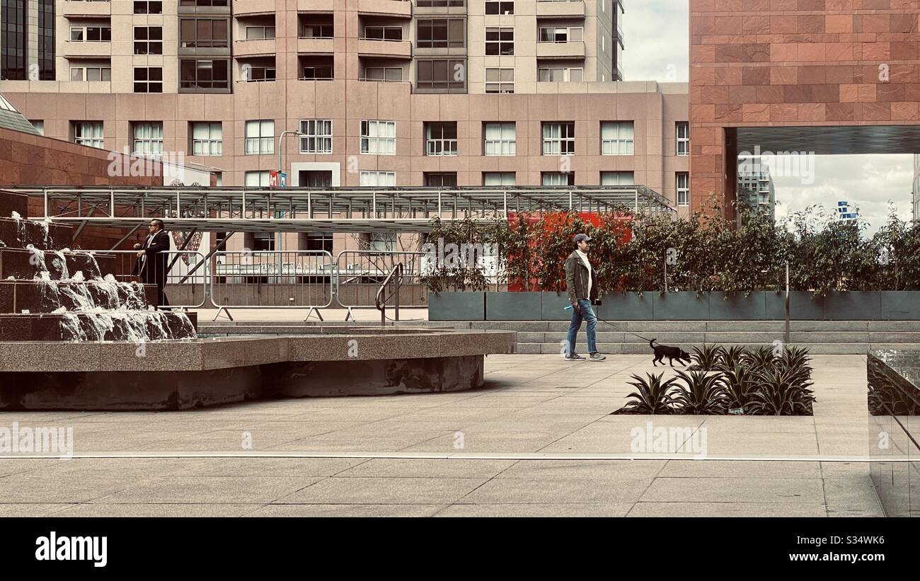 LOS ANGELES, CA, MAR 2020: Persone in isolamento sociale, che svolgono attività normali come la passeggiata con i cani, vicino al quartiere dei musei nel centro città Foto Stock