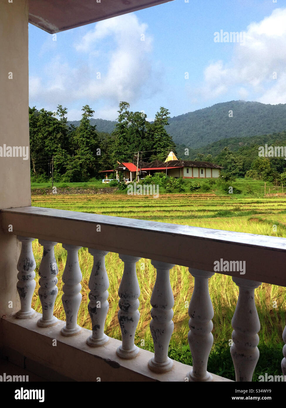 Una bella vista della foresta da un balcone dell'hotel a Goa, India. Foto Stock