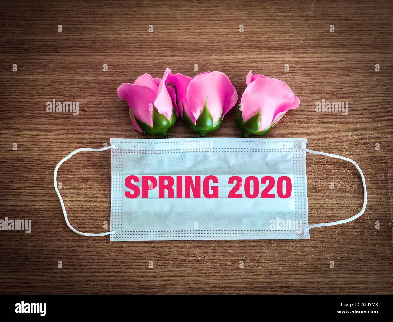 Rosa rose uscenti da una maschera chirurgica - Primavera 2020 durante Pandemy Coronavirus Foto Stock