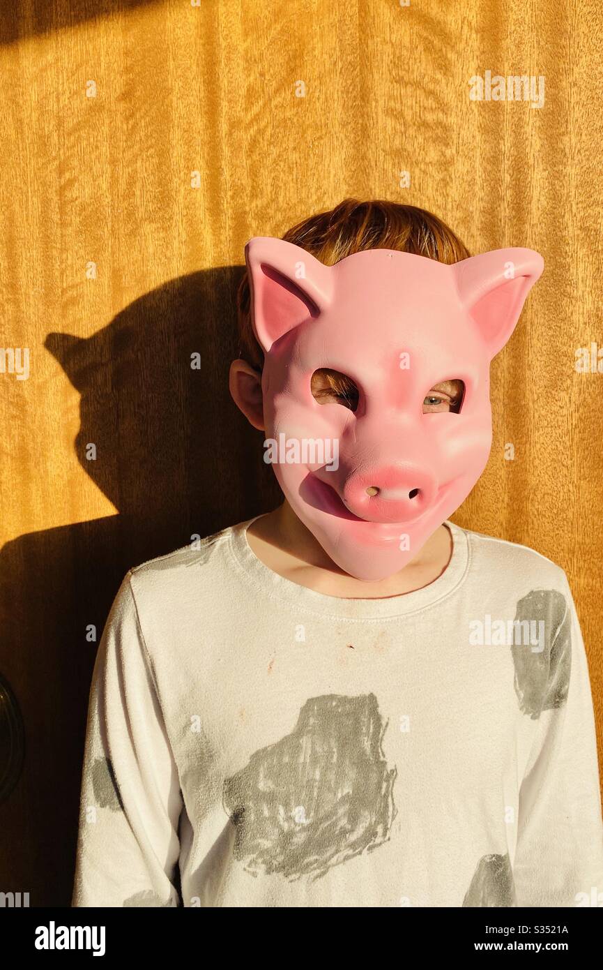 Capretto in una maschera di maiale - Immagine stock catturata con smartphone
