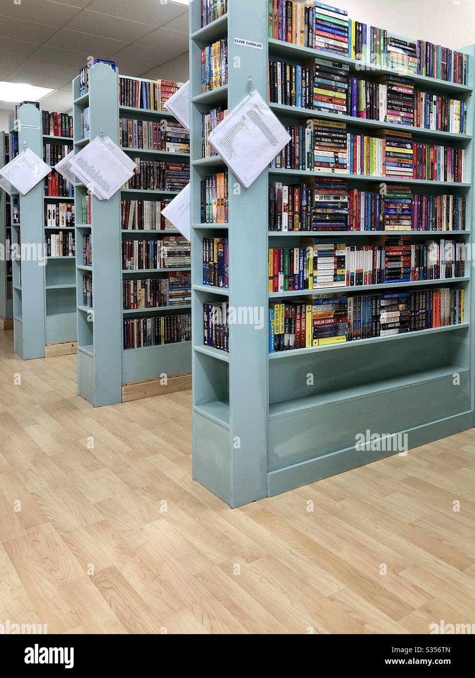 Libri usati, libreria, organizzati, mensole dipinte blu, corridoi tra scaffali, lettura, apprendimento, relax, shopping, piccola impresa Foto Stock