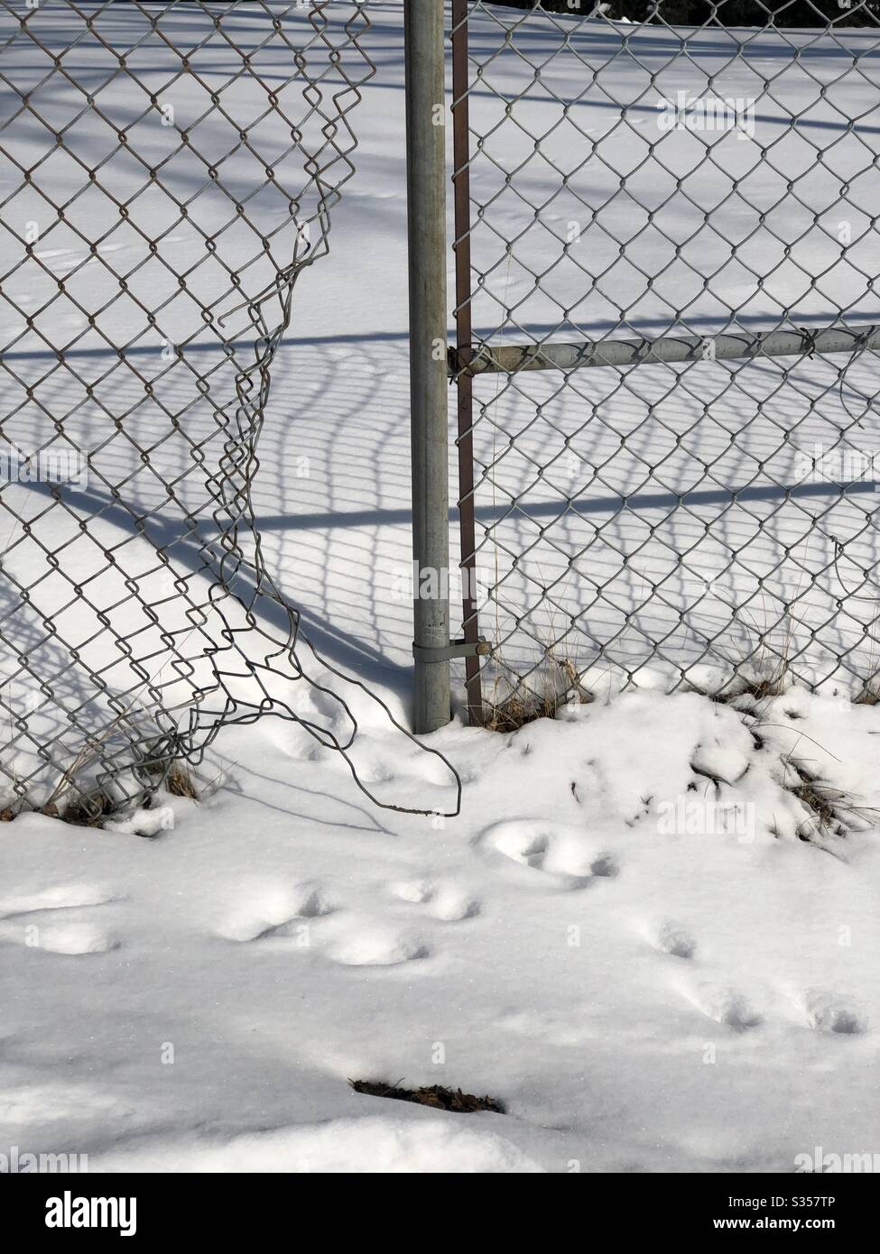 Fence maglia catena su sfondo bianco neve Foto Stock