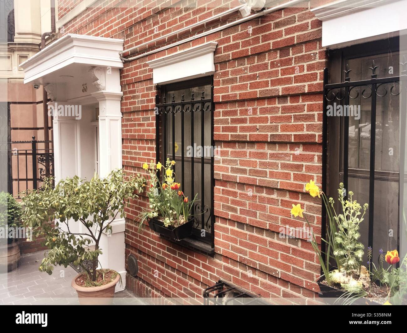 La parte anteriore di un marronco a Murray Hill insegnanti luminosi fiori di primavera nelle sue finestre, NYC, Stati Uniti Foto Stock