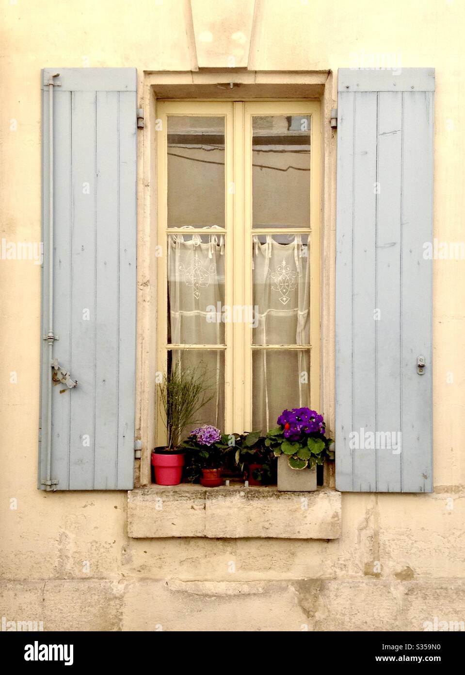 Finestra con piante in vaso e tende in pizzo a Remy de Provence, Francia. Foto Stock