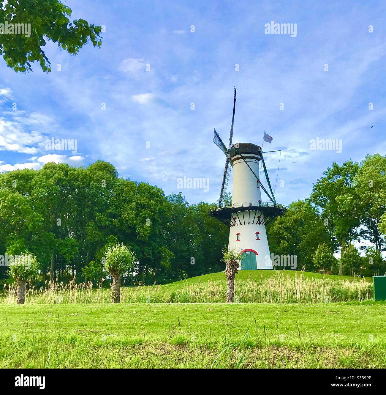 Mulino a vento olandese Foto Stock