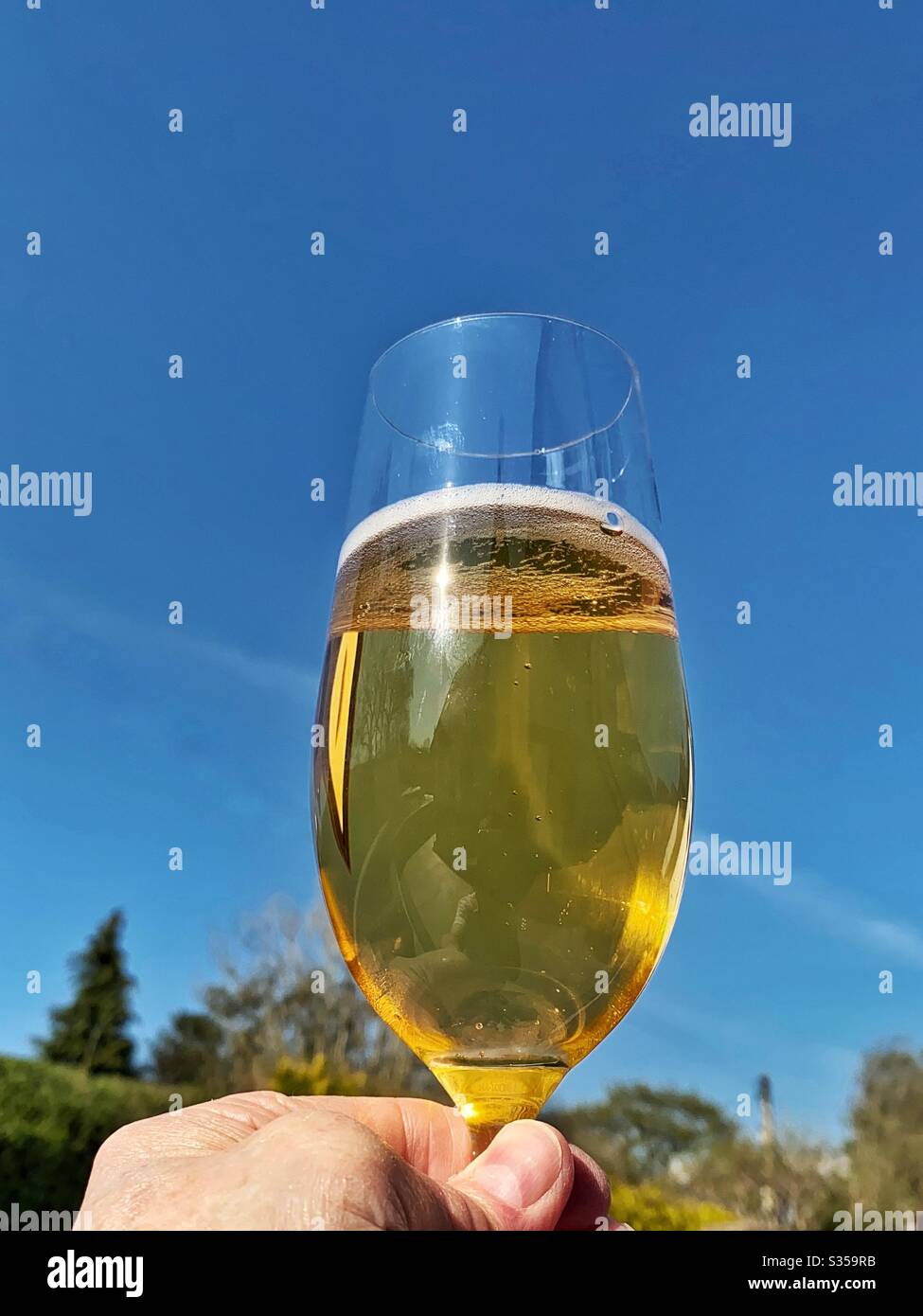 Bicchiere di birra lager dorata, tenuto contro un cielo blu intenso Foto Stock