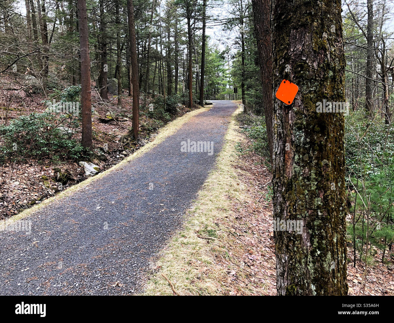 Salita con fiaccate arancioni per segnare la strada Foto Stock