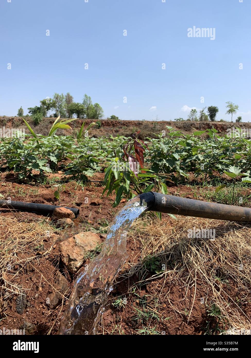 Irrigazione di fattoria Foto Stock