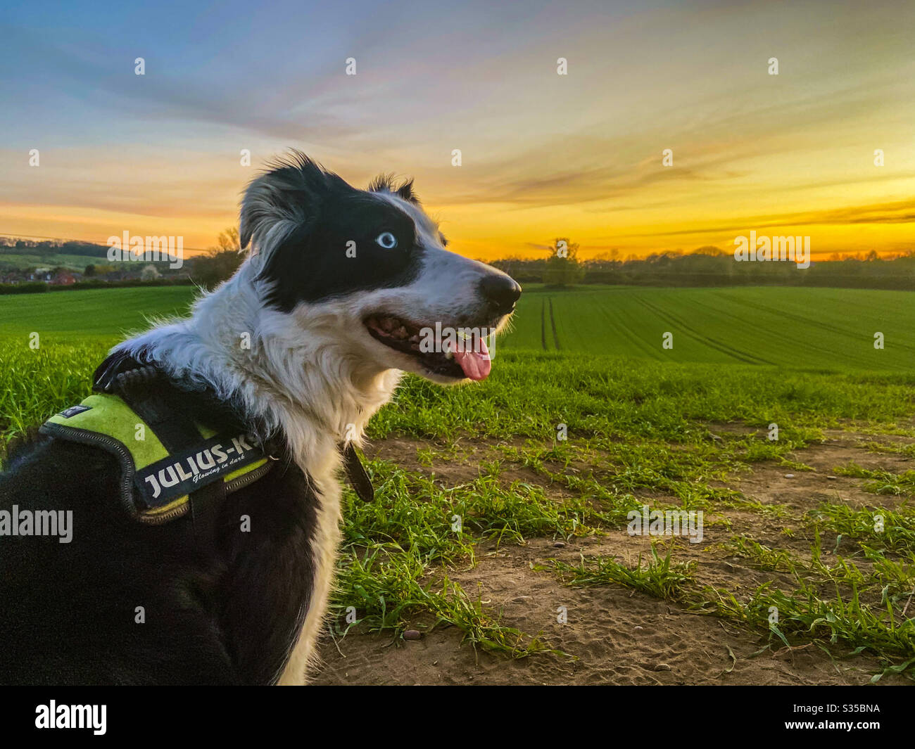 Passeggiate in campagna Foto Stock