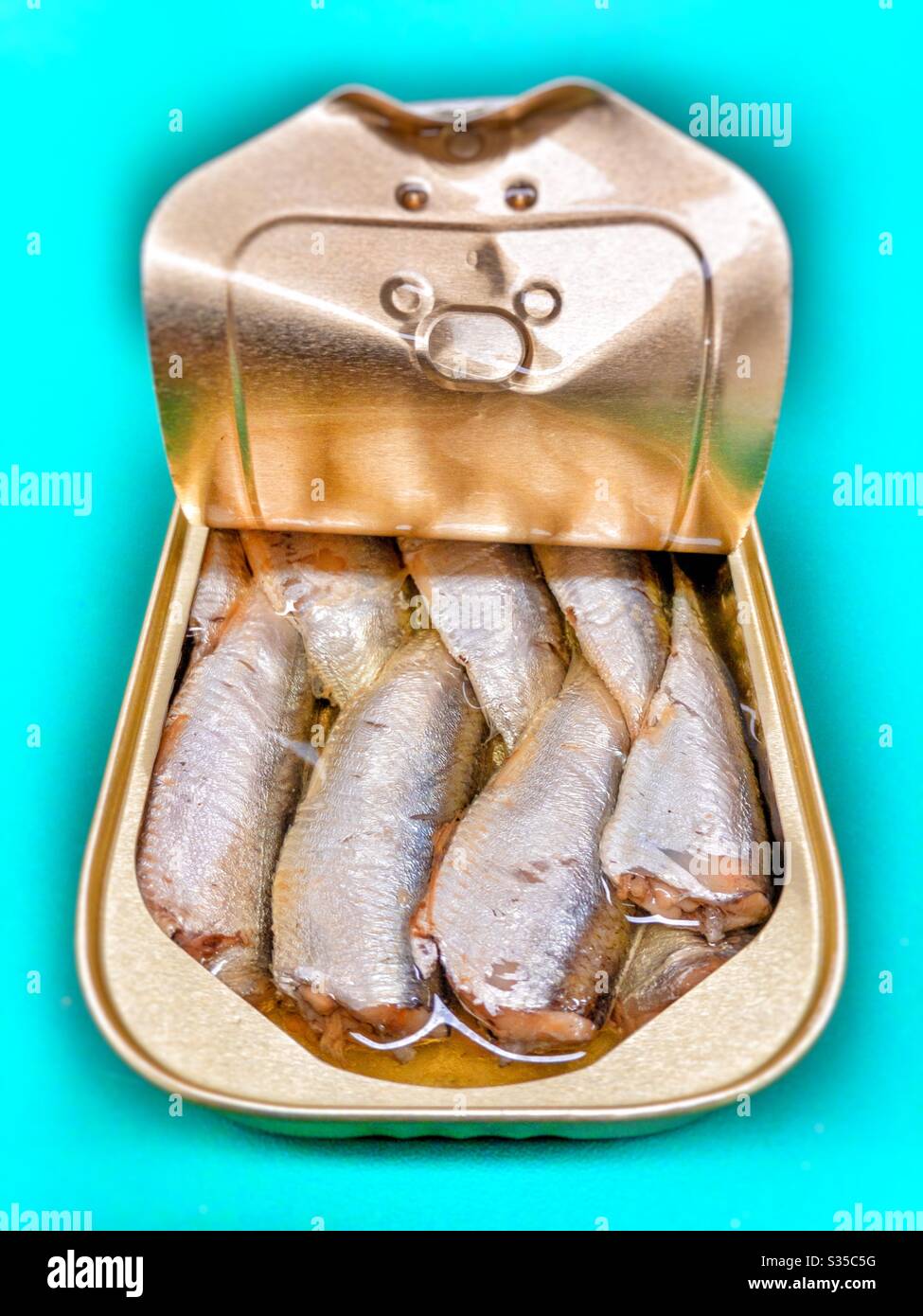 Lattina aperta di sardine in olio Foto Stock