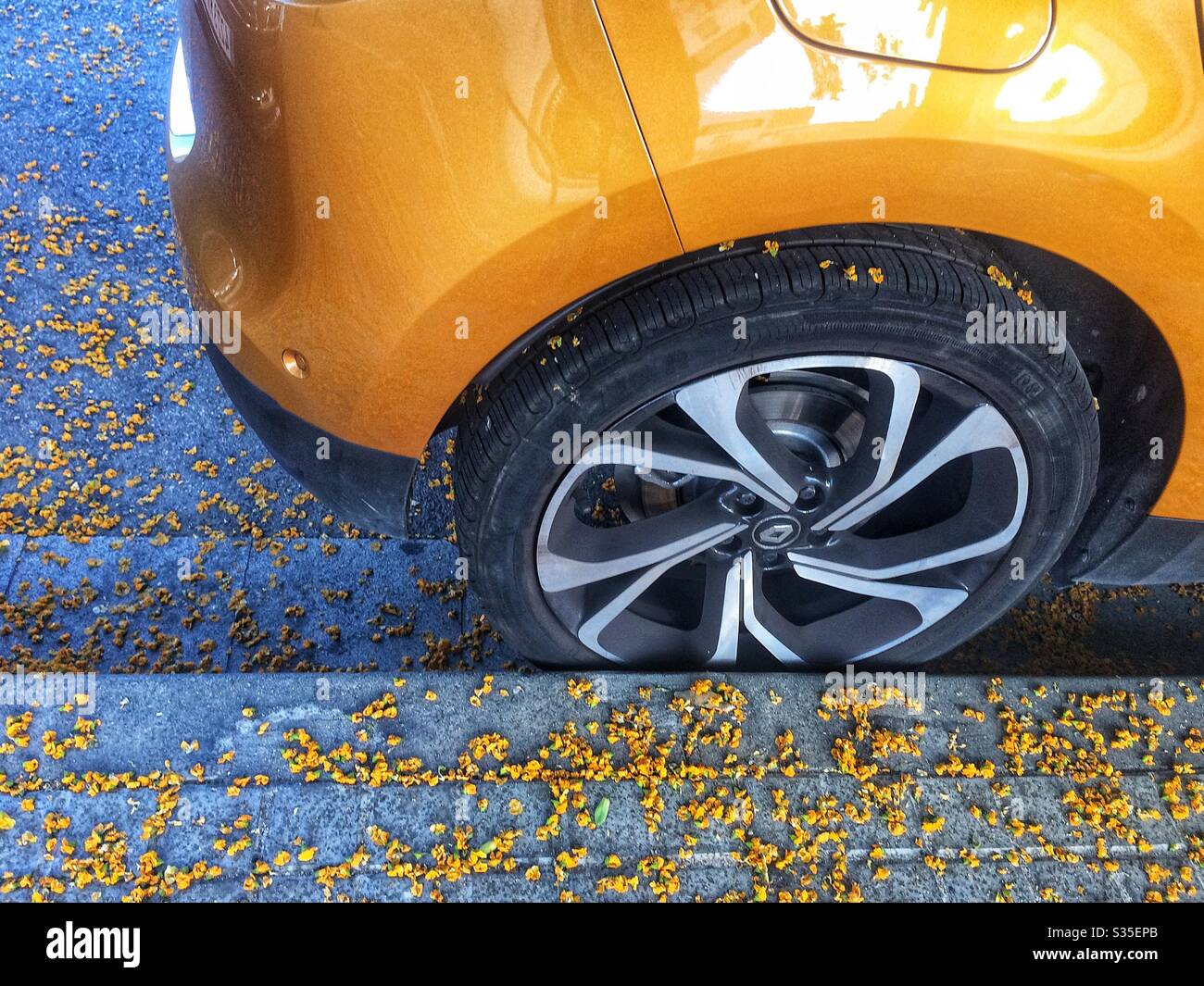 Auto gialla e foglie sul pavimento Foto Stock