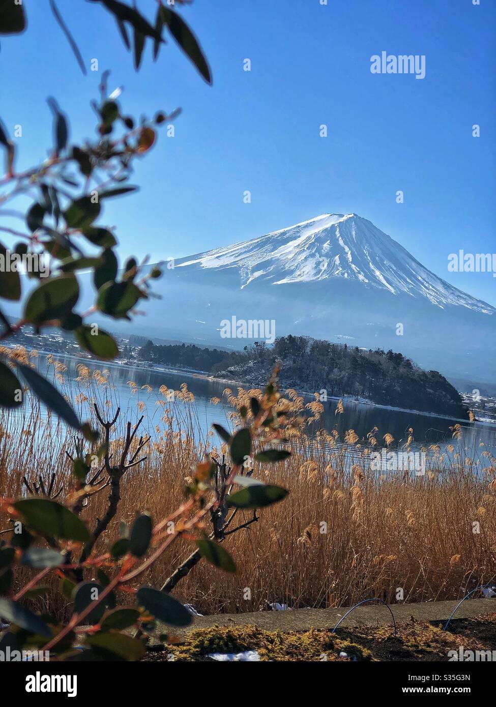 Monte Fuji Foto Stock