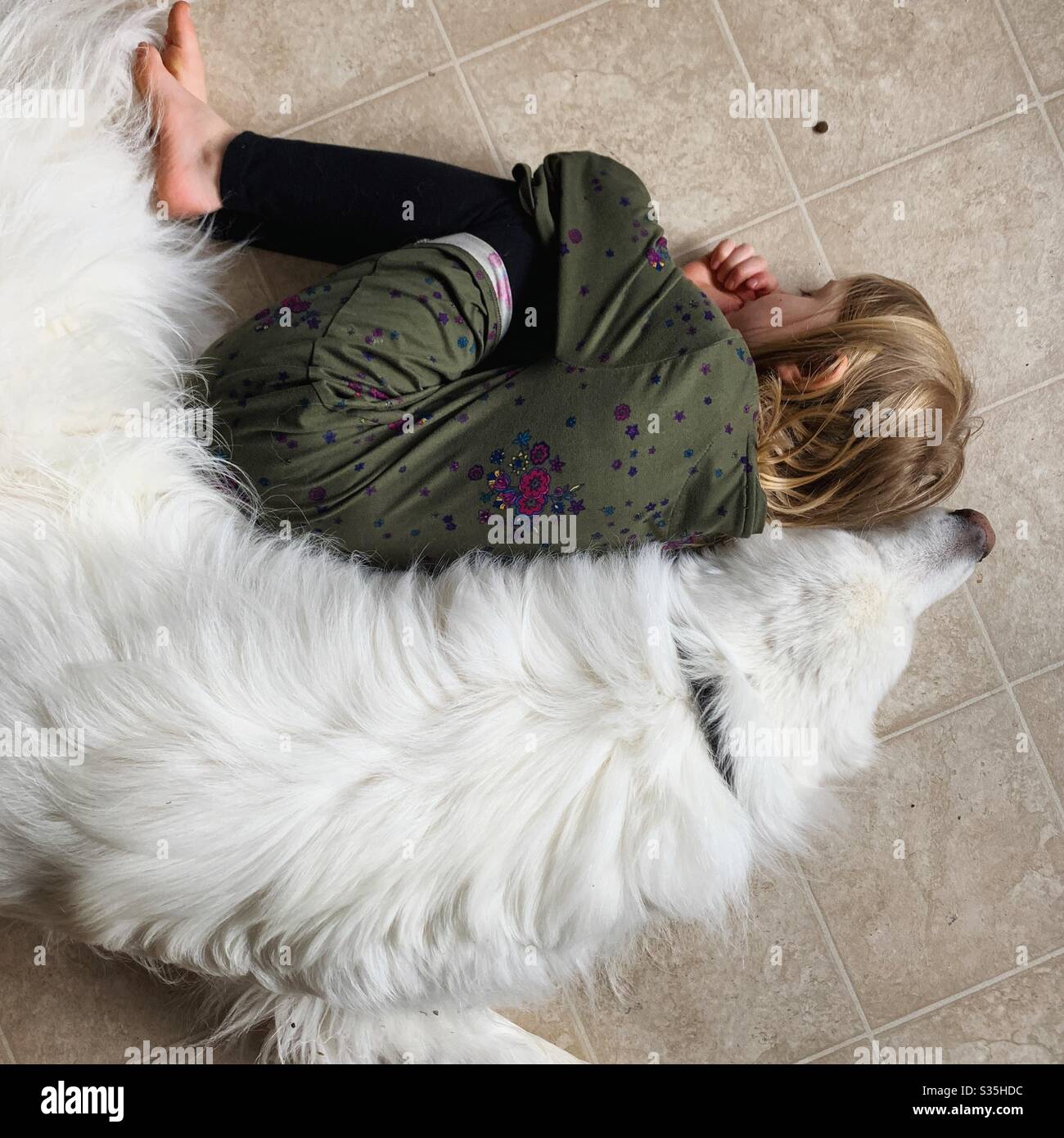 Un cane e una ragazza che si annochiano insieme. Foto Stock