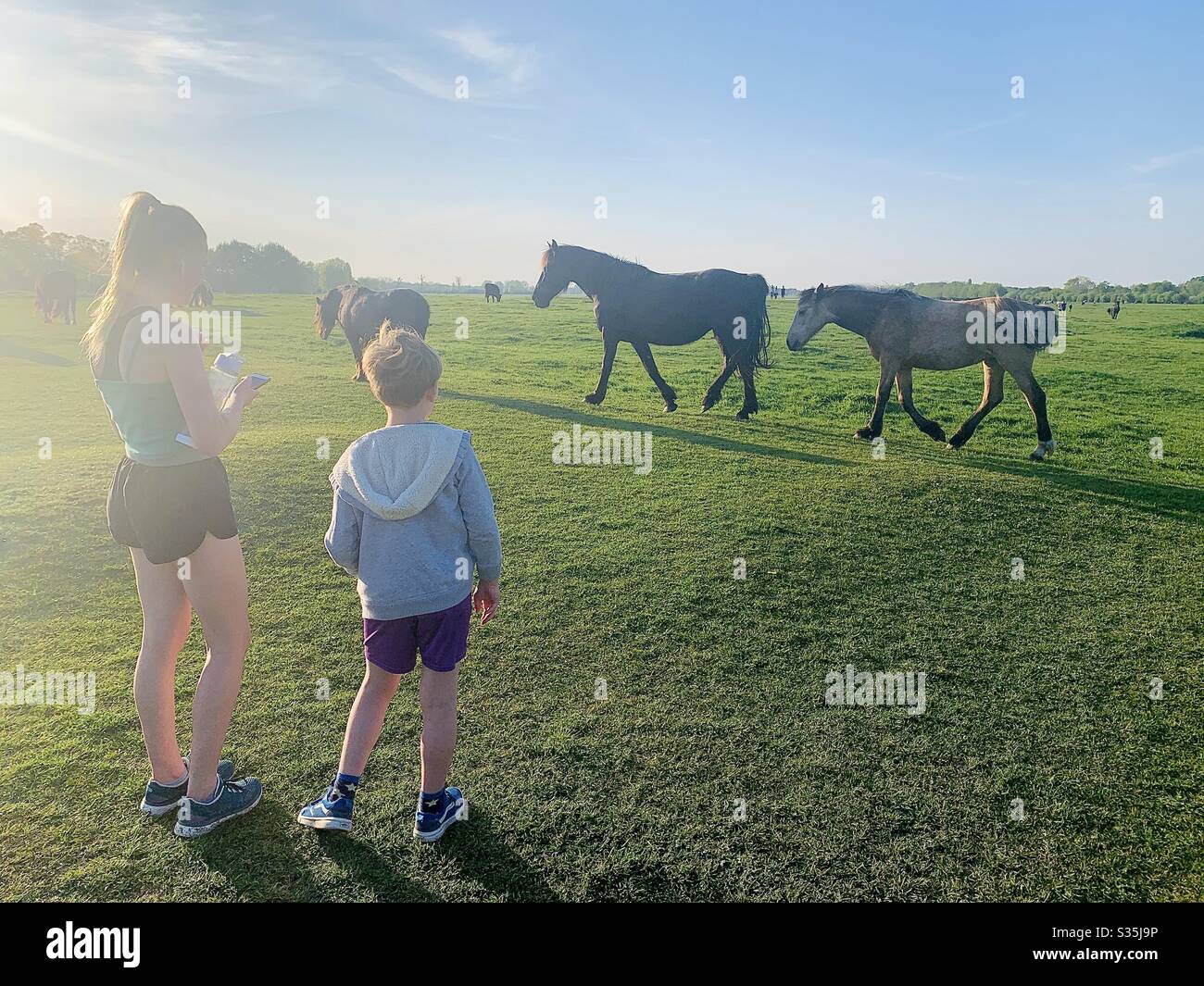 Bambini che guardano cavalli selvatici sul Port Meadow, aprile 2020 Foto Stock