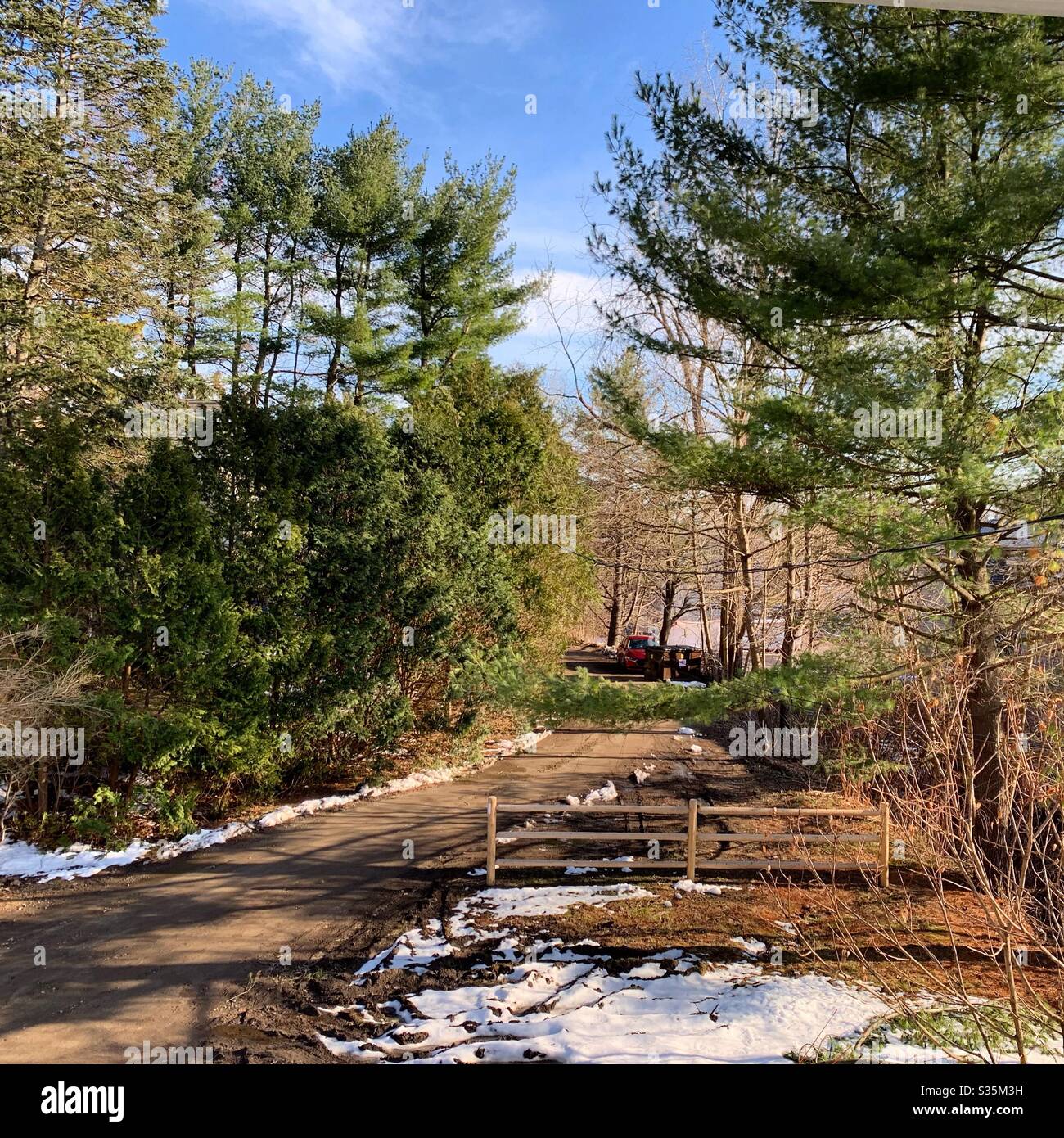Fine del mese di marzo su una strada sterrata in Massachusetts, Stati Uniti Foto Stock