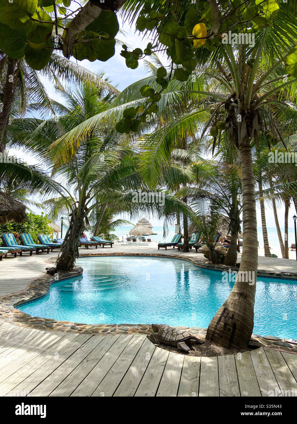 La piscina che si affaccia sul Mar dei Caraibi a San Pedro, Ambergris Caye, Belize il 9 marzo 2020. - Immagine stock catturata con smartphone