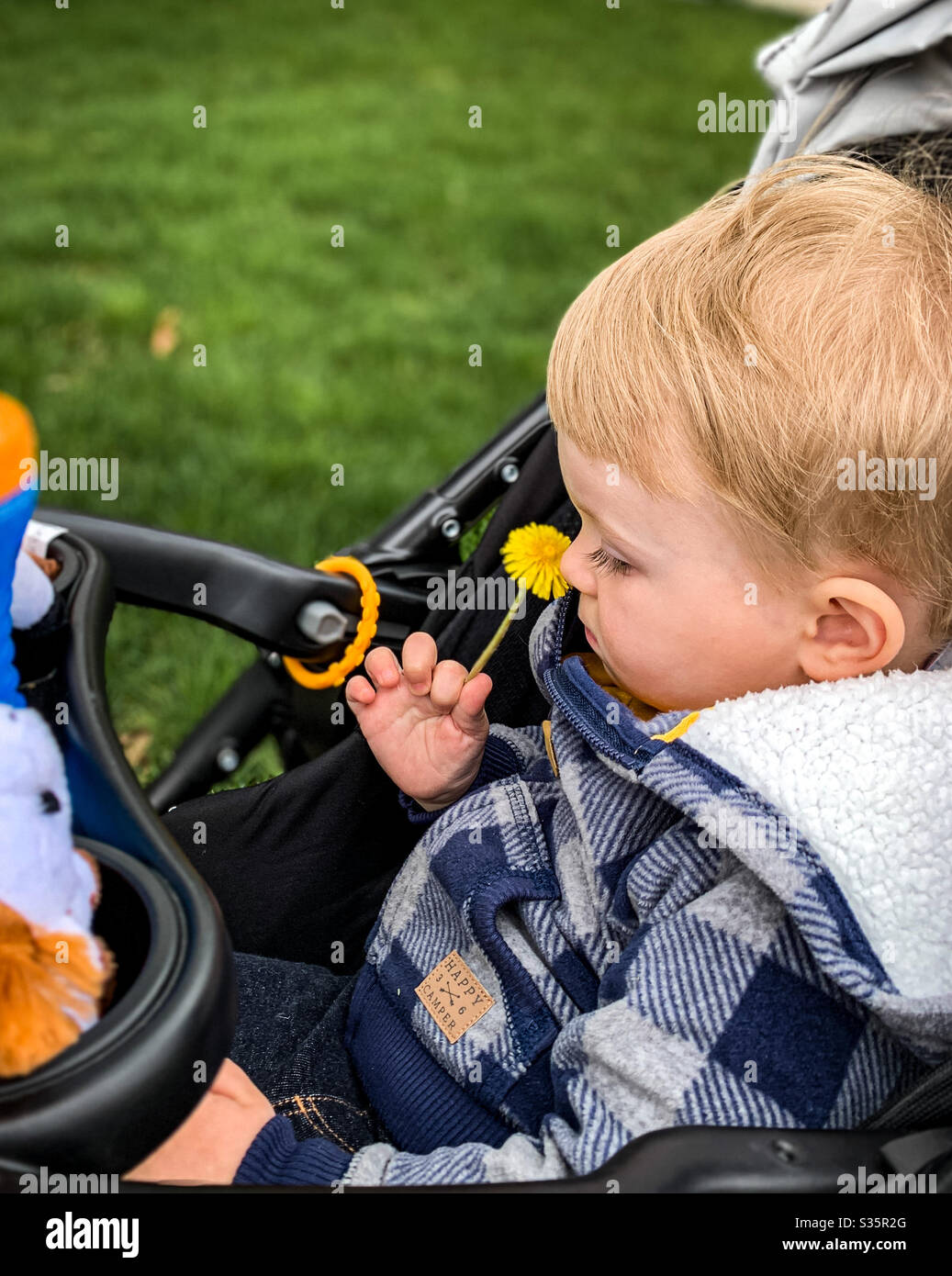 Neonato nel passeggino immagini e fotografie stock ad alta risoluzione -  Alamy