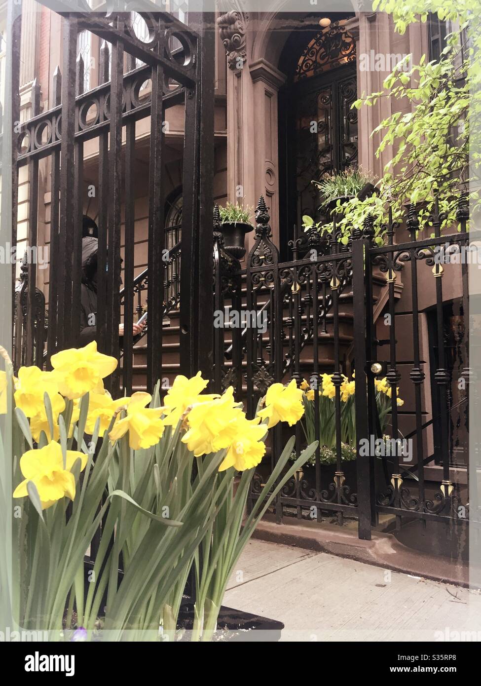 Murray Hill è un quartiere di Manhattan che presenta pietre brownstones ben tenute con aidewalk aiuole in primavera, NYC, Stati Uniti Foto Stock