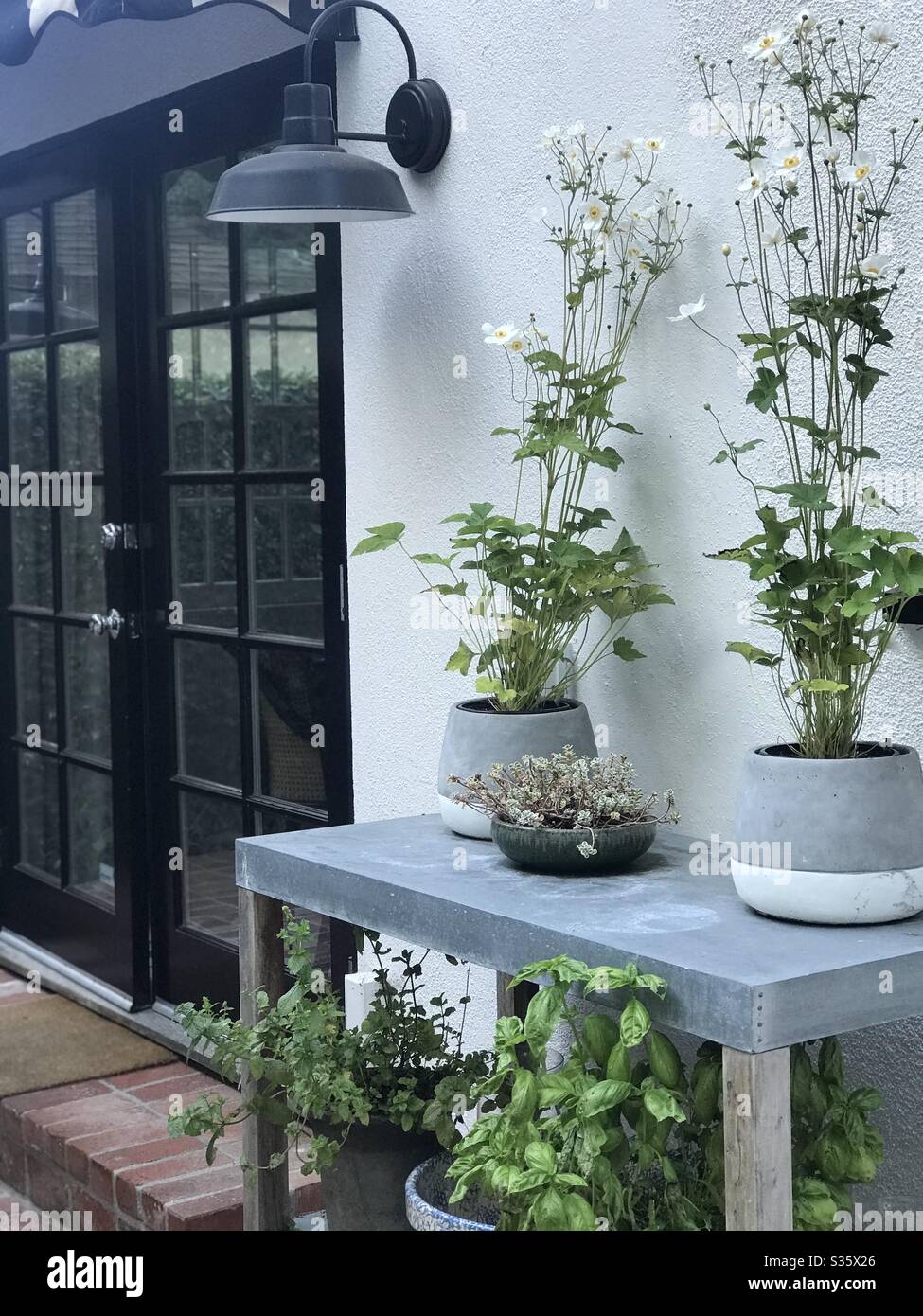 Piantando tavolo - Immagine stock catturata con smartphone