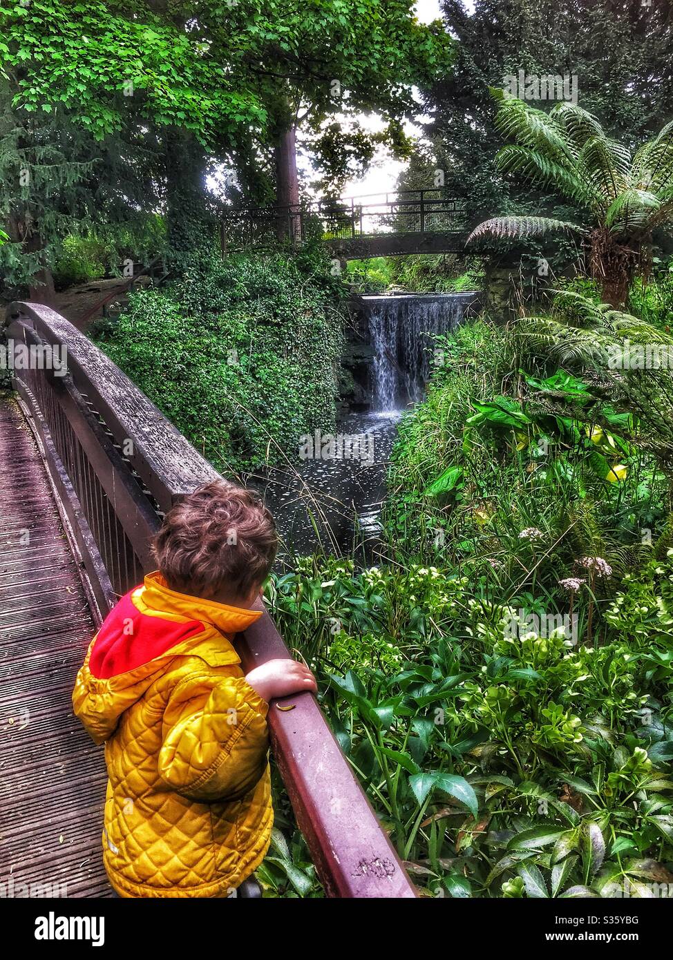 Bambino in cappotto giallo guardando la cascata nel Kelsey Park Beckenham Foto Stock