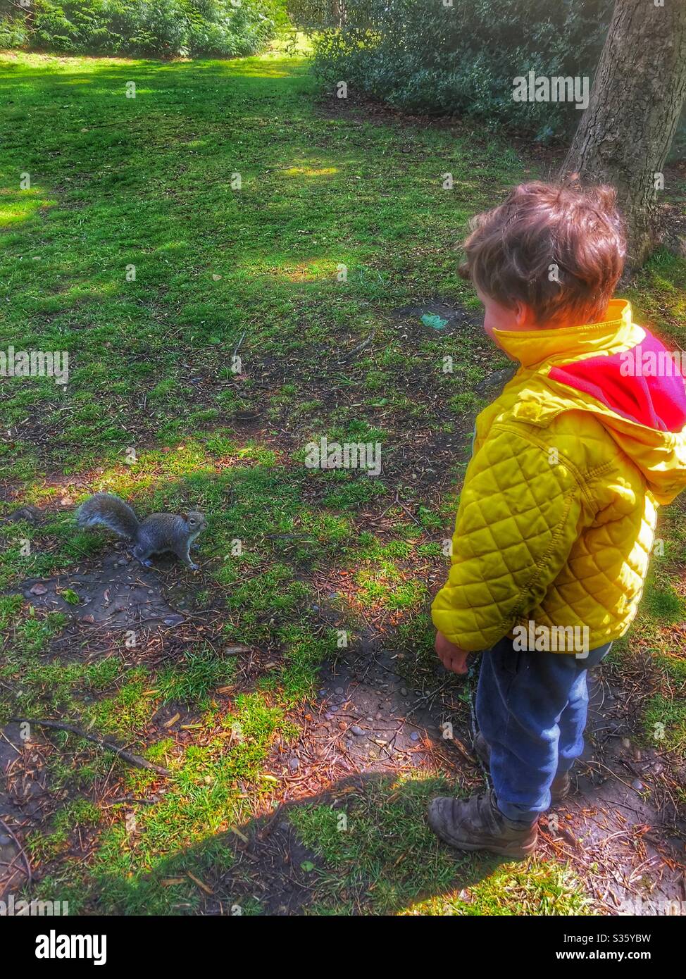 Scoiattolo che guarda un bambino in un cappotto giallo nel Kelsey Park Beckenham aprile 2020 Foto Stock