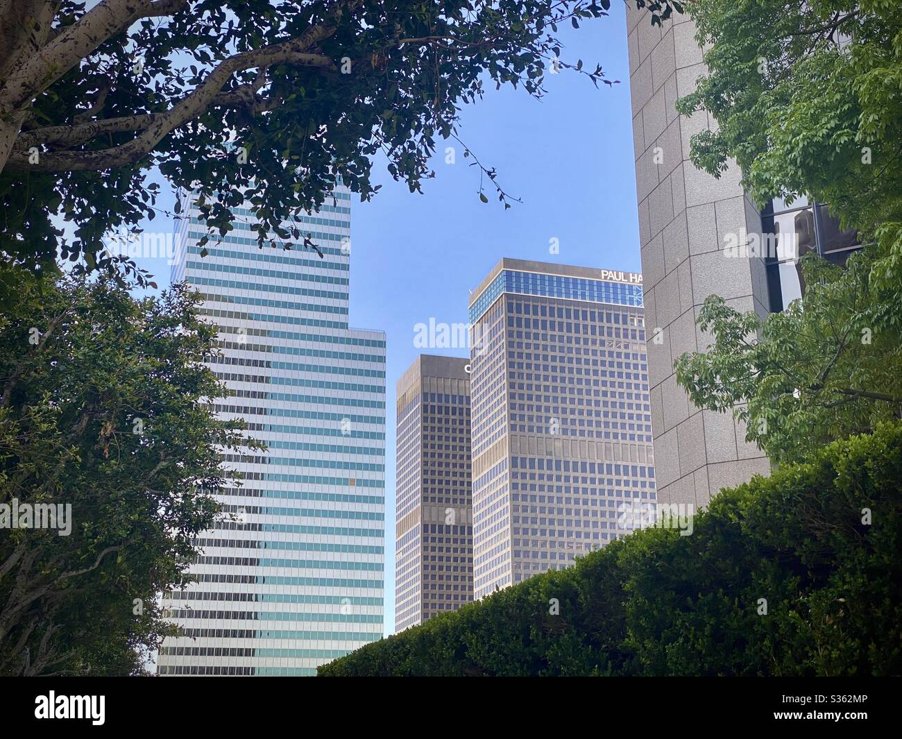 LOS ANGELES, CA, Apr 2020: Grattacieli incorniciati da alberi e cespugli nel centro di Los Angeles in una giornata limpida e soleggiata Foto Stock