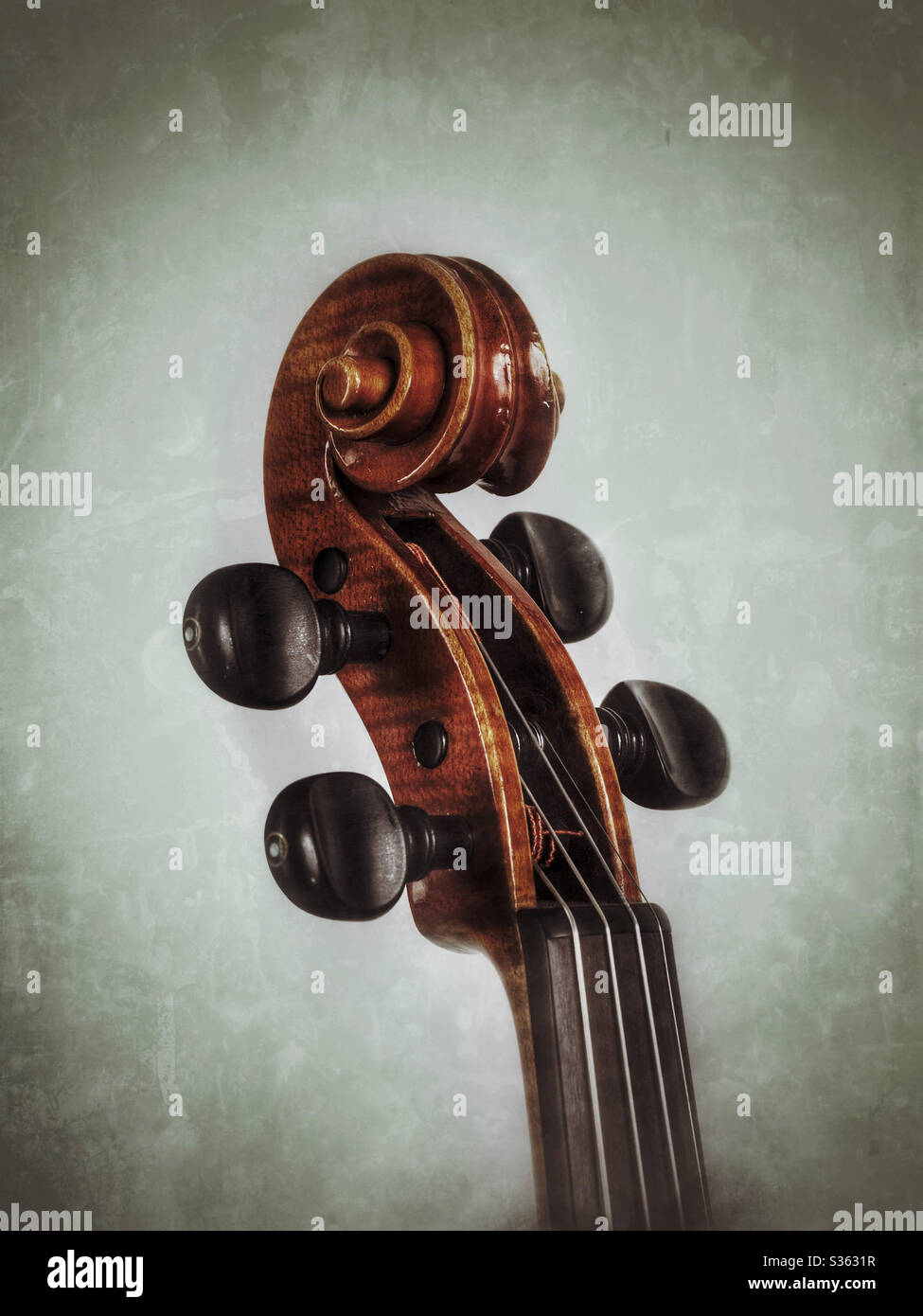 Violin scroll immagini e fotografie stock ad alta risoluzione - Alamy