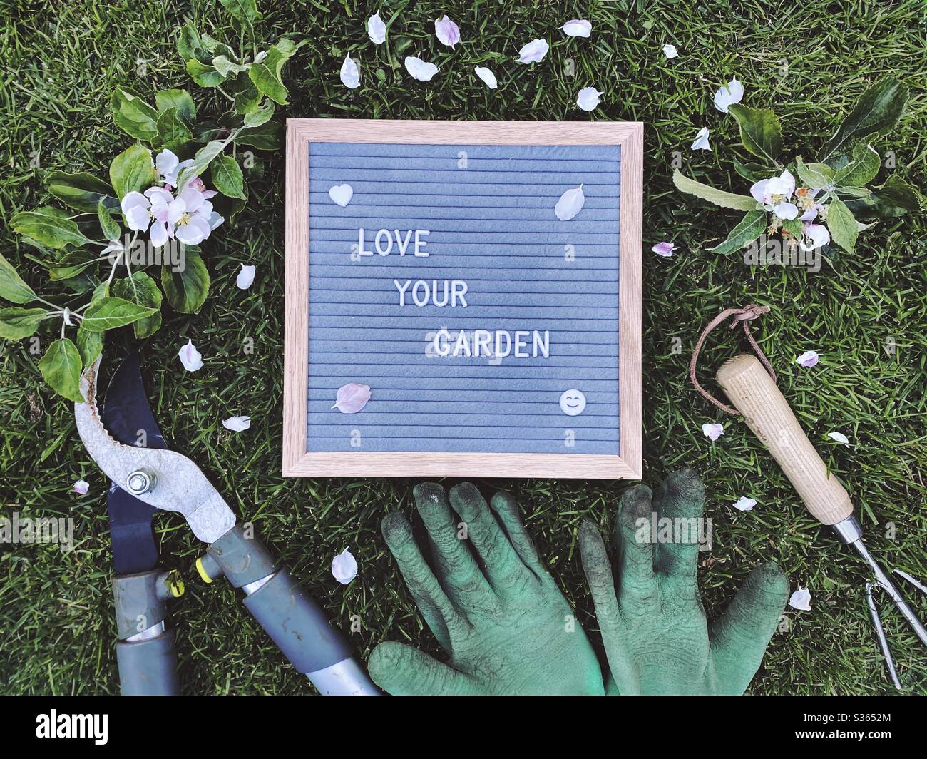 Ama il tuo giardino. Concetto di giardinaggio con cartone di feltro lettera, prugna palmare, guanti sporchi e un ramo potato con fiore da un albero di mela su un prato verde Foto Stock