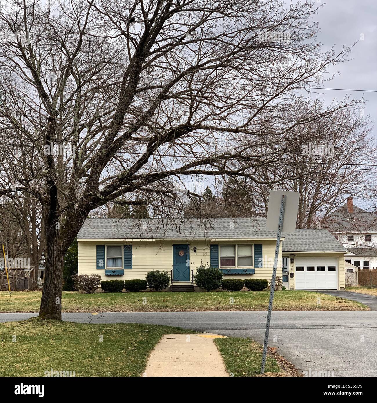 Una casa incorniciata dai rami di un albero in primavera Foto Stock