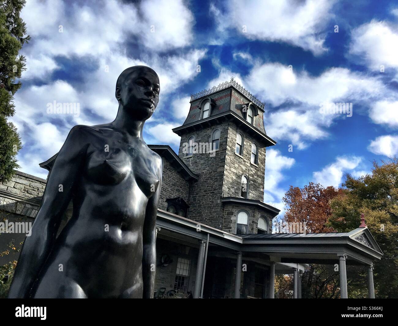 Woodmere Museo d'Arte, collina di castagno, pa Foto Stock