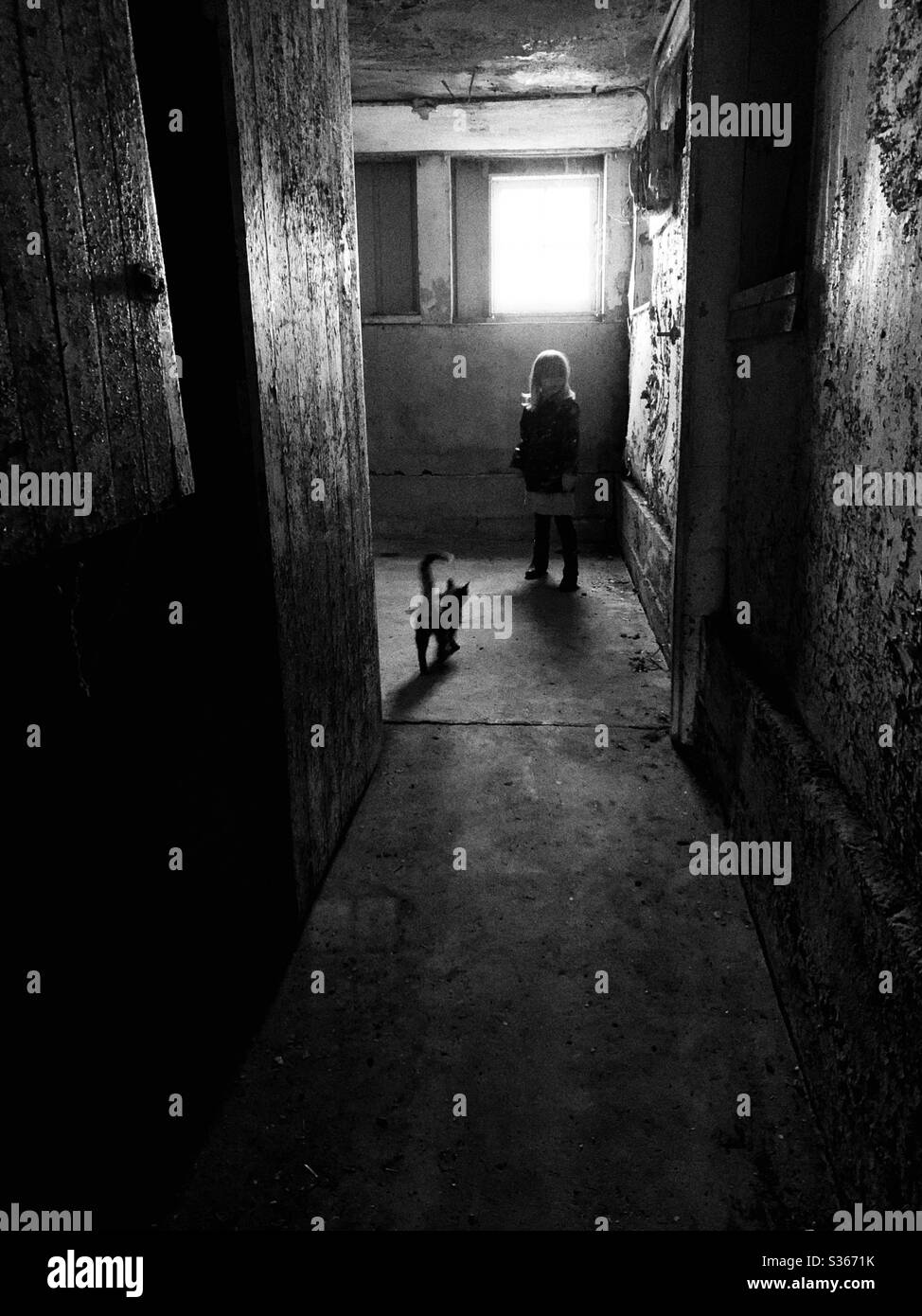 Una ragazza e un gatto dentro una stanza buia con luce della finestra che riempie l'oscurità. Foto Stock