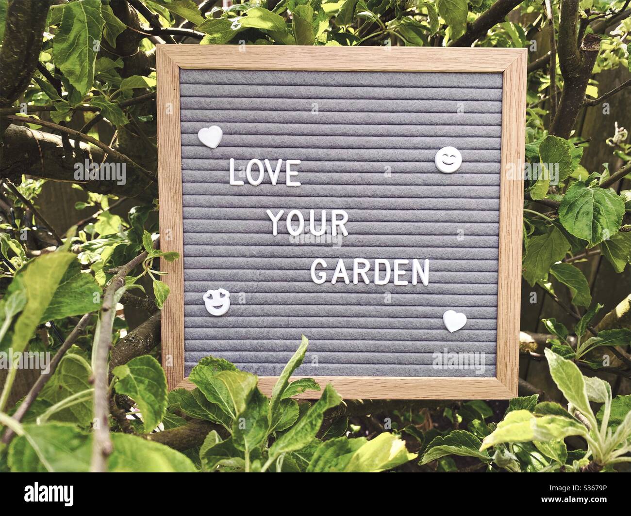 Amate il vostro giardino. Concetto di giardinaggio con bordo di lettera del feltro nei rami di un albero di mela nana con fogliame verde. Vista a fuoco selettivo con sfondo sfocato e spazio di copia. - Immagine stock catturata con smartphone