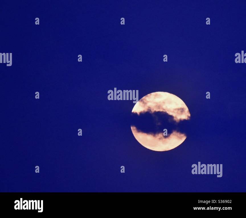 La luna super fiore Foto Stock