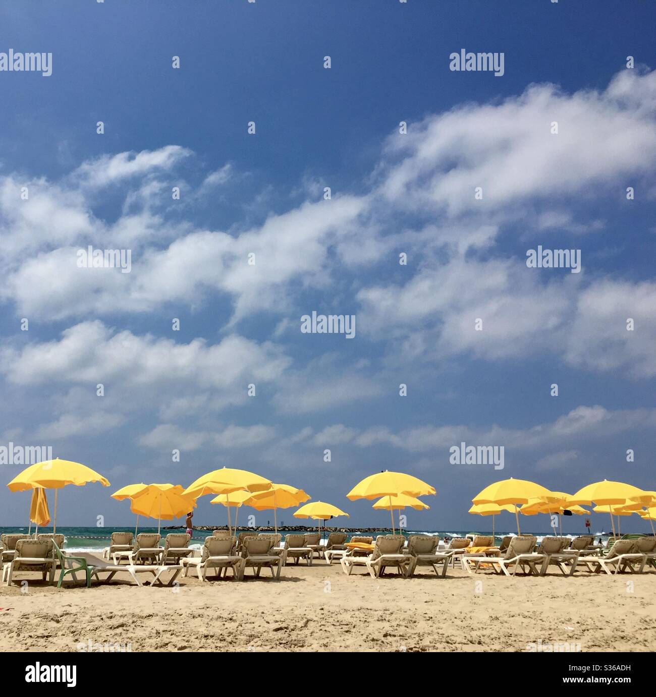Vista sulla spiaggia di Tel Aviv con ombrelloni gialli contro il cielo blu e lettini Foto Stock
