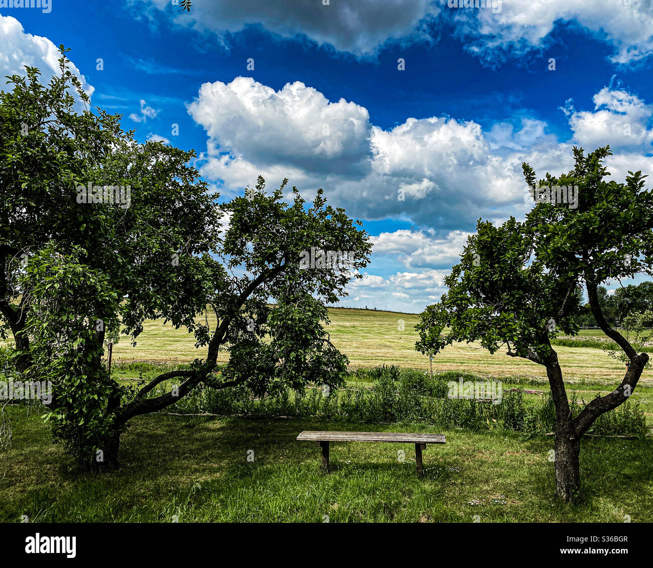 Panca che si affaccia sulla campagna olandese Foto Stock