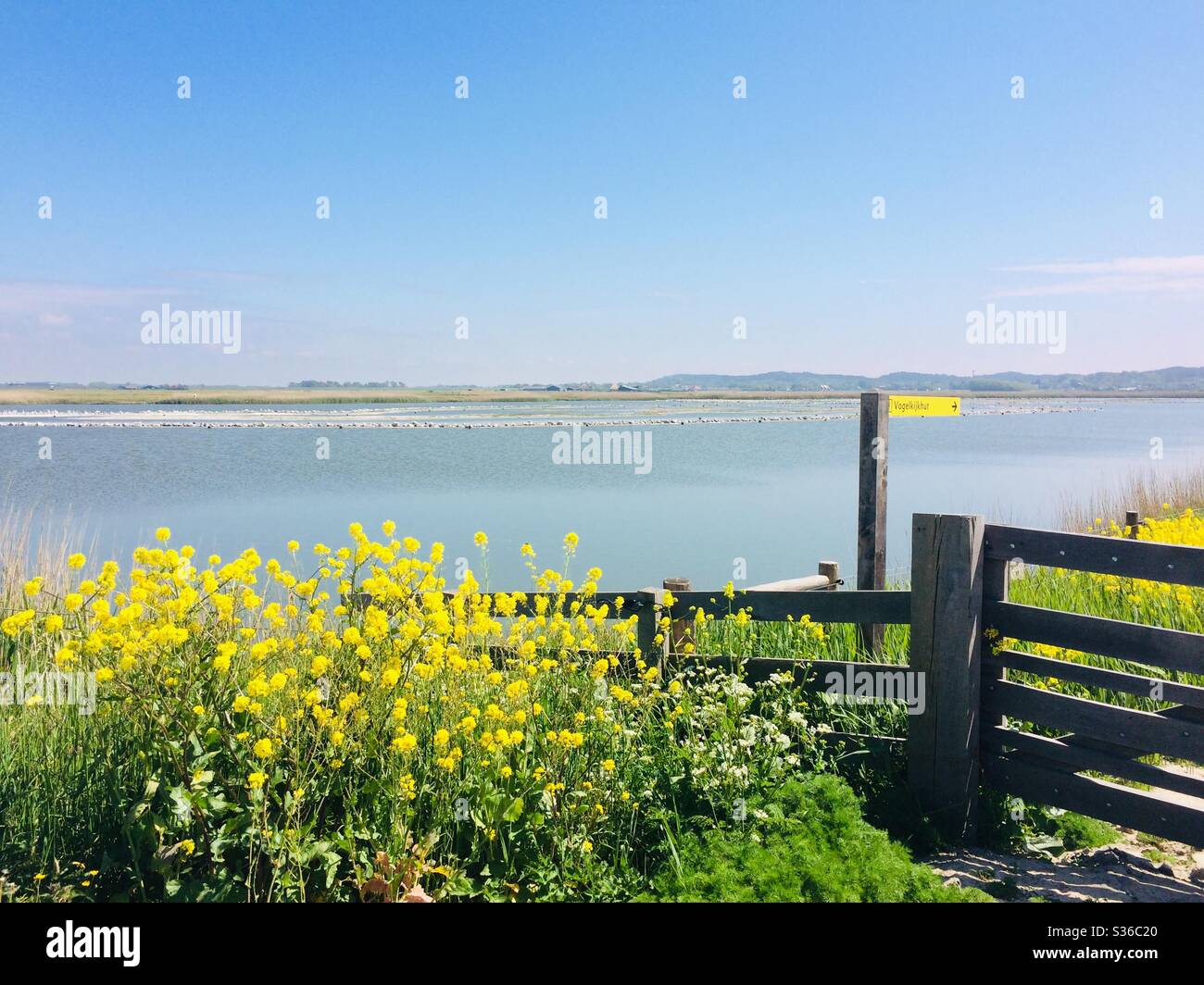 Un lago per gli uccelli. Paesi Bassi. Foto Stock