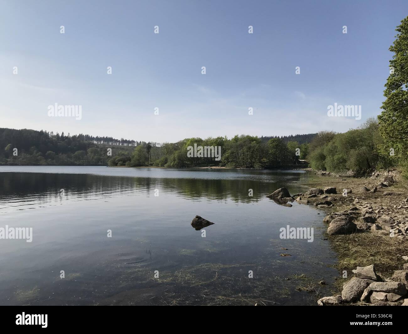 Reservoir, Plymouth, Devon Foto Stock
