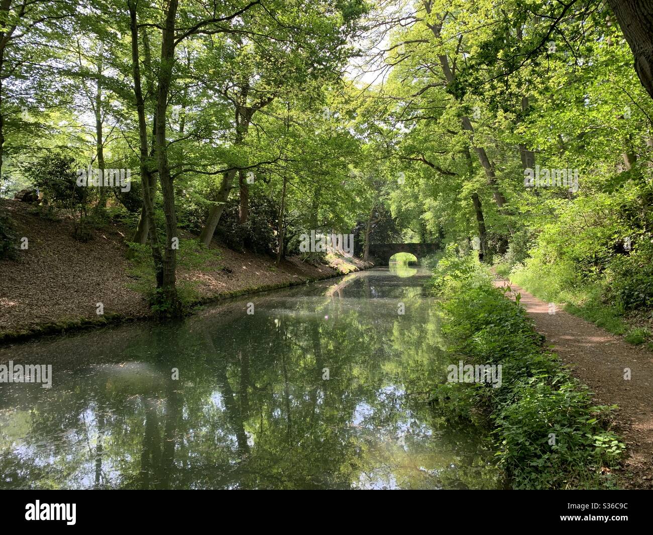 Una vista generale del canale di Basingstoke vicino a Odiham nell'Hampshire, Inghilterra Foto Stock