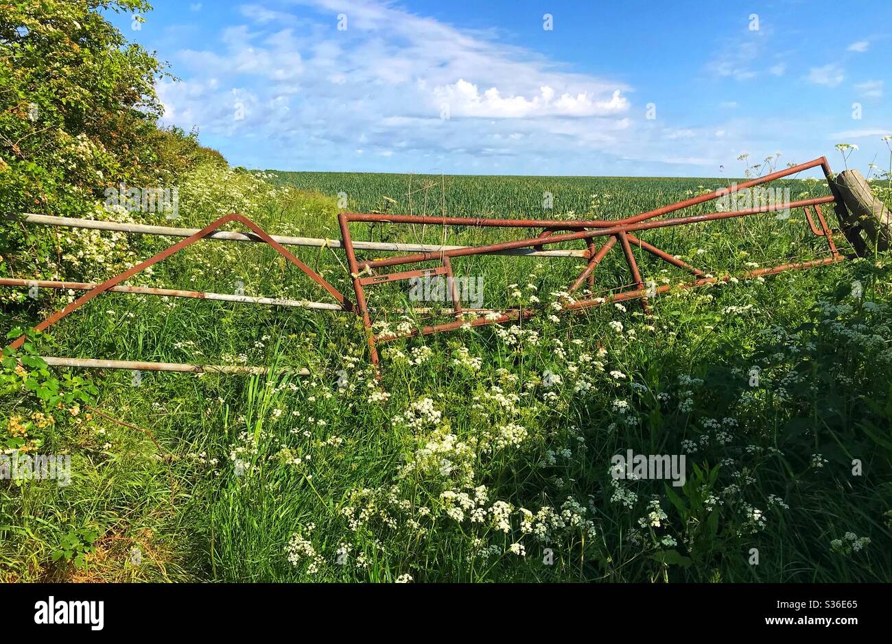 Cancelli di fattoria in un campo - Immagine stock catturata con smartphone