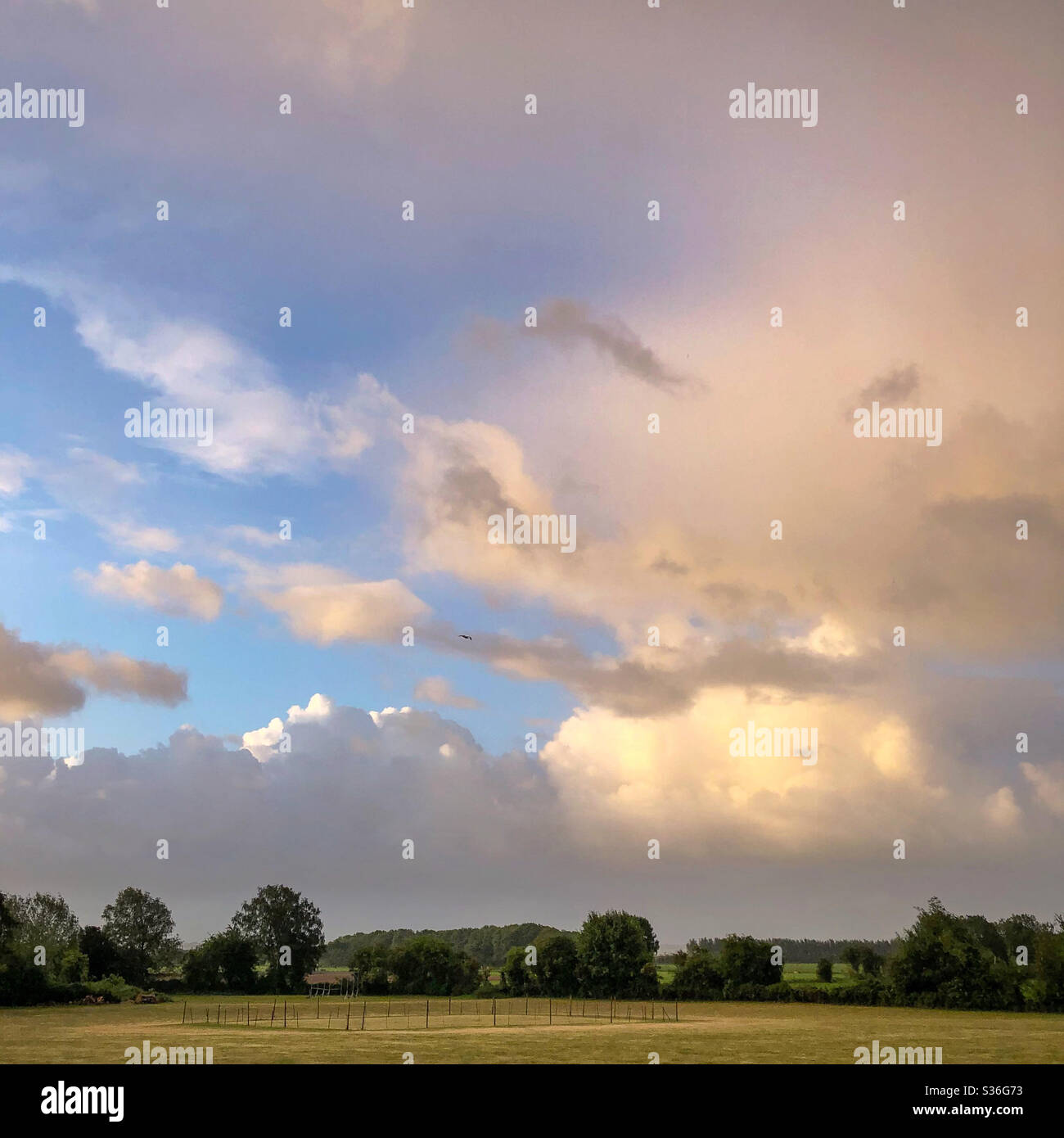Vista mattutina su un campo da cricket. Foto Stock