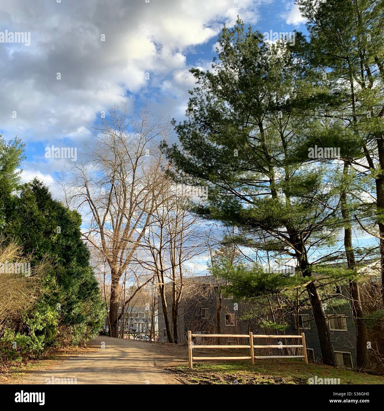 Una strada rurale all'inizio della primavera, Massachusetts, Stati Uniti - Immagine stock catturata con smartphone