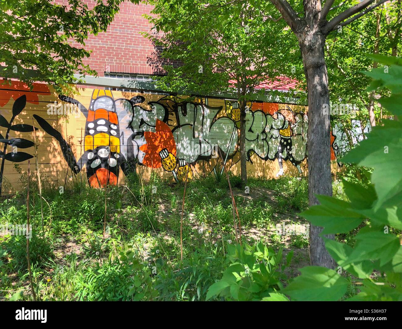 Arte dei graffiti urbani in un quartiere di Toronto. - Immagine stock catturata con smartphone