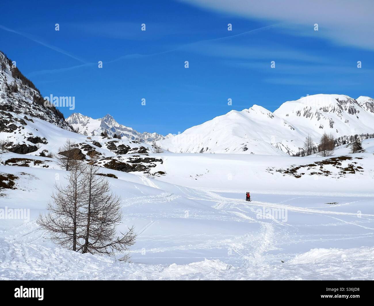 Neve scena alpina - Immagine stock catturata con smartphone
