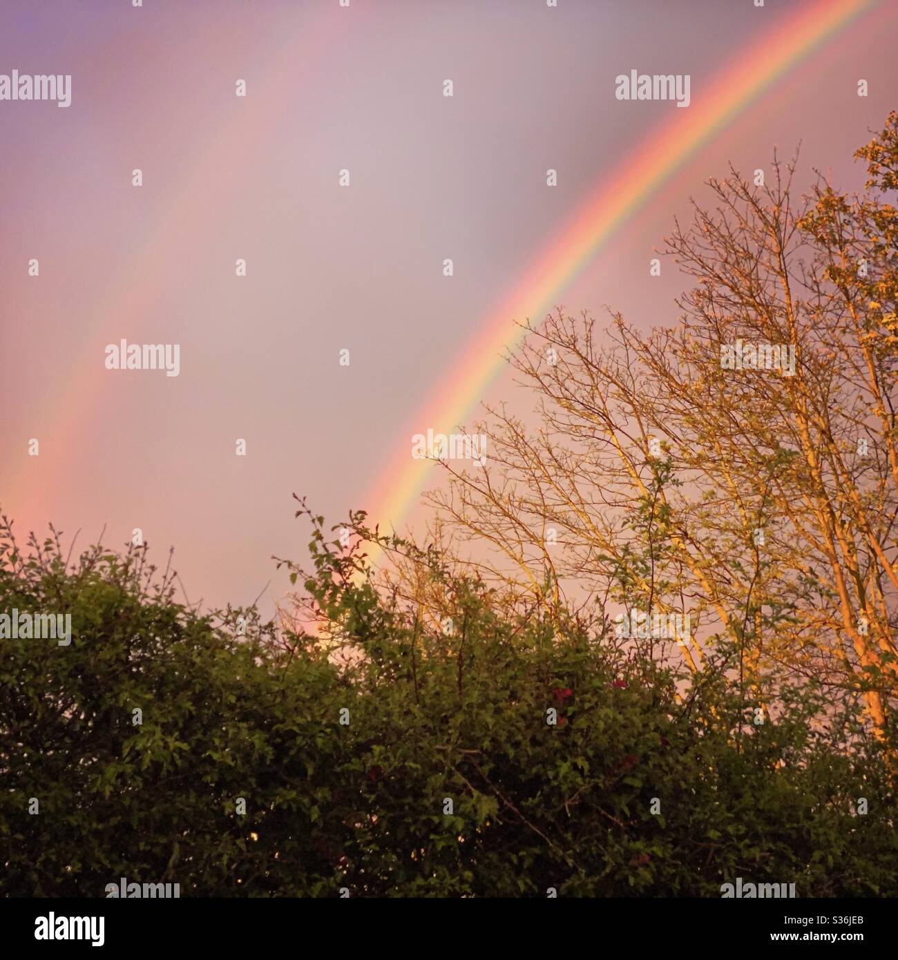 Una vista panoramica di un cielo spettacolare con un arcobaleno bello e colorato contro le nuvole di pioggia mentre il sole scende durante l'ora d'oro creando colori astratti. Simbolo di speranza durante i tempi di prova. Foto Stock