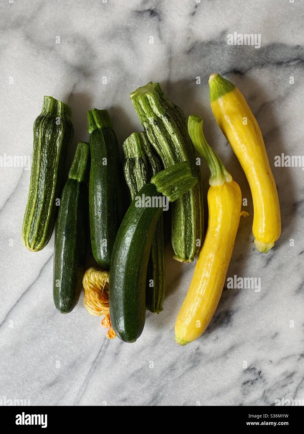 Zucca estiva assortita, zucchine, zucca gialla e Romanesco. Foto Stock