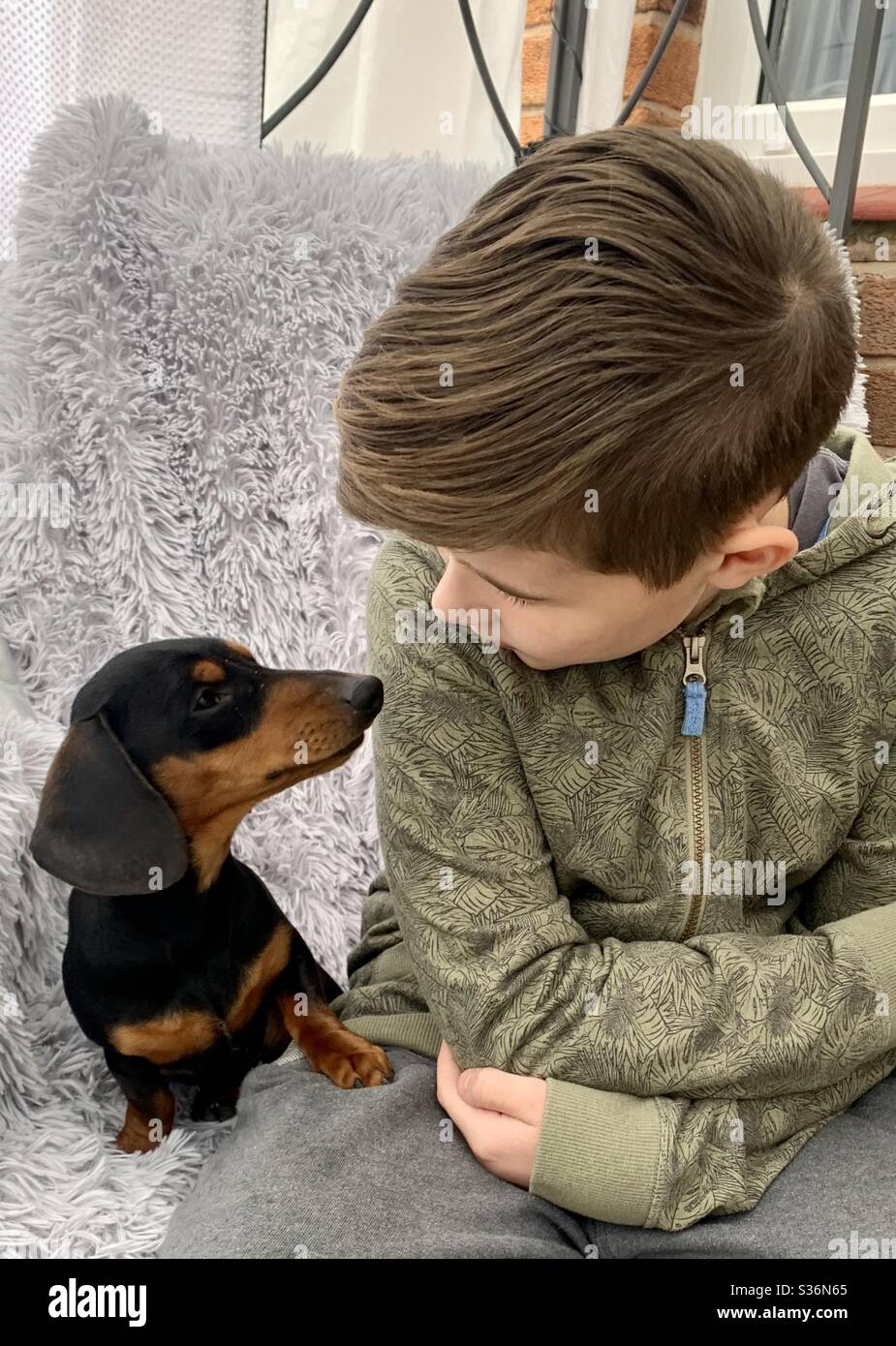 Ragazzo e il suo cane Dachshund Foto Stock