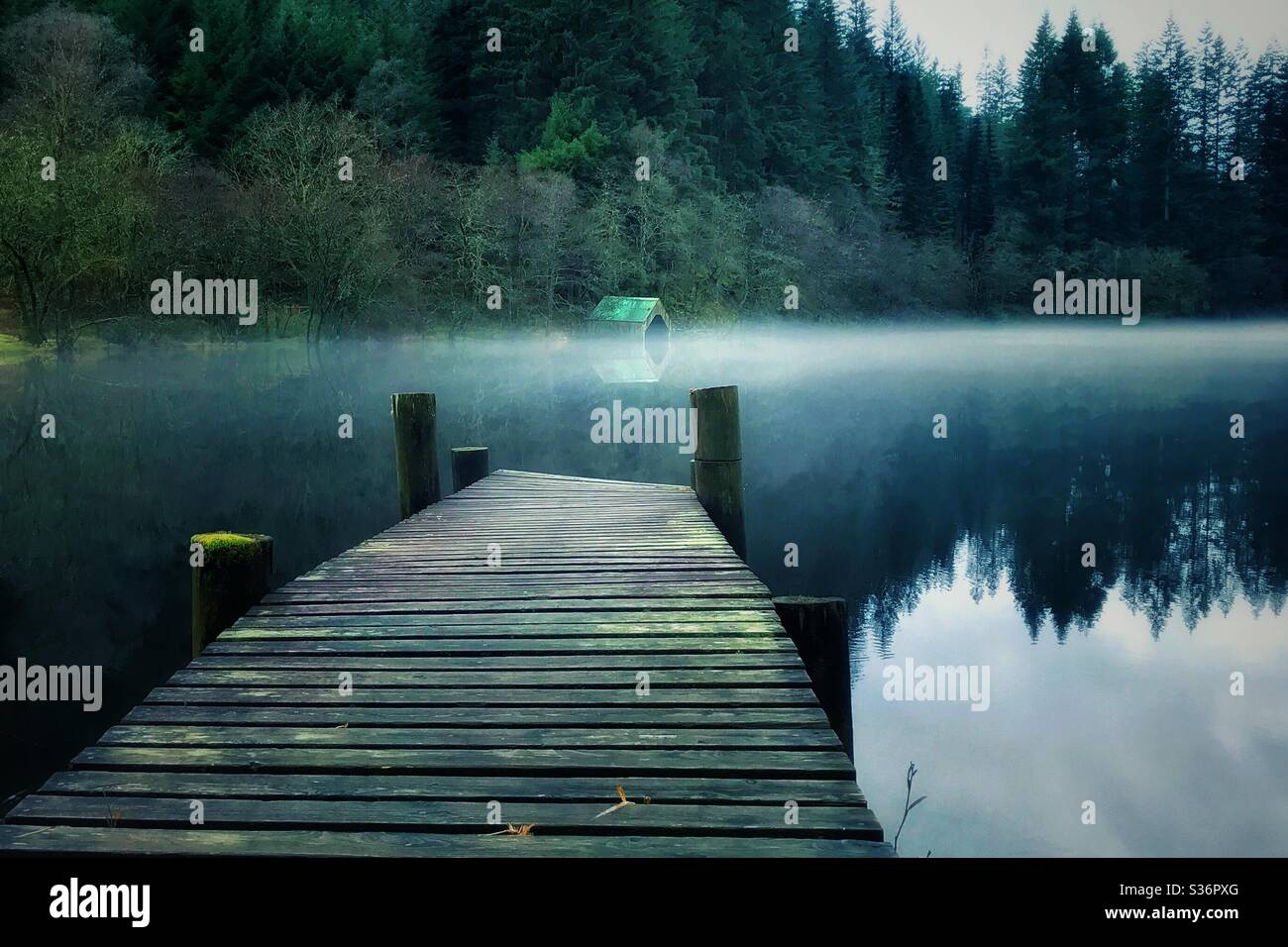 Misty Loch Ard, Loch Lomond e Trossachs National Park, Scozia. Foto Stock